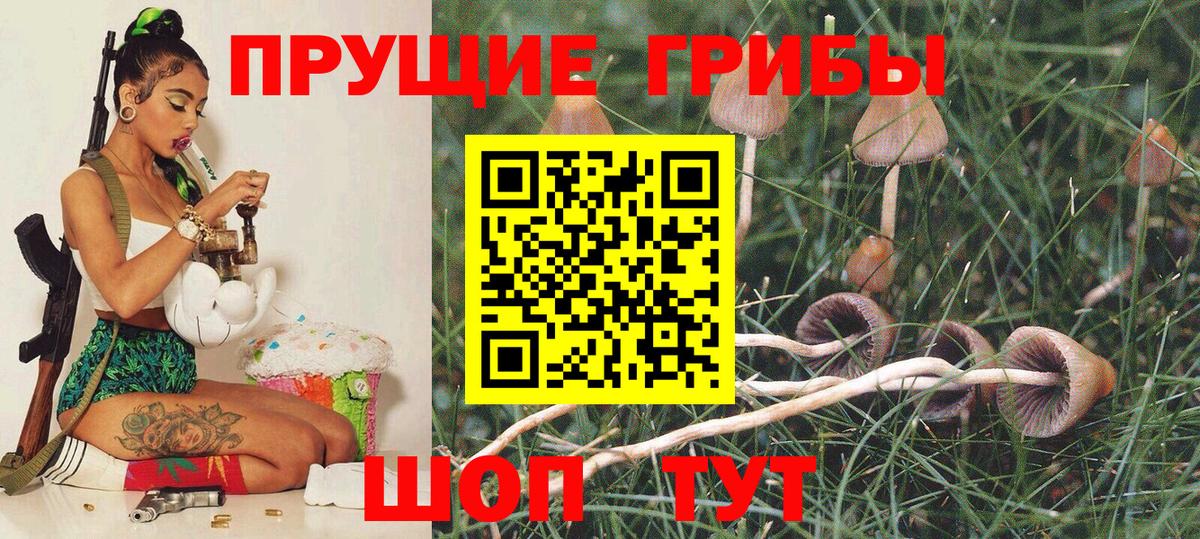 Псилоцибиновые грибы ЛСД Лесозаводск